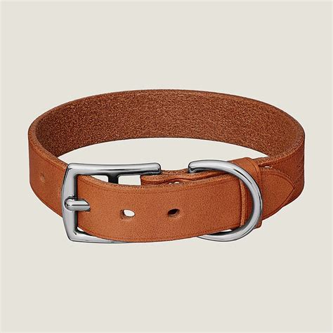 Etriviere II dog collar .